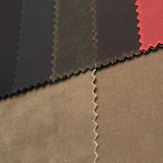 Picture of Evolution 8