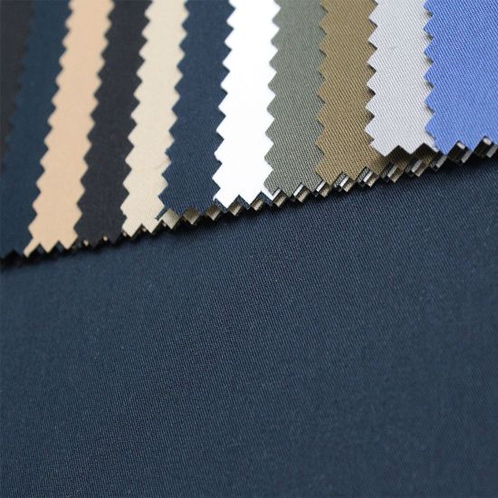 Picture of Carlyle Swatch Card