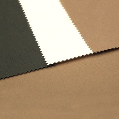 Picture of Regentex 8 PW FRW Swatch Card